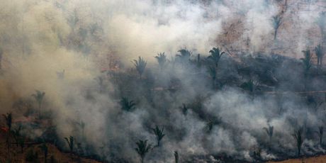 Požar u Amazoni (Foto: AFP)