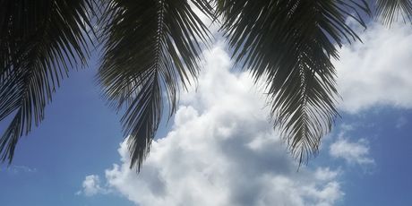 Plaža Anse Georgette