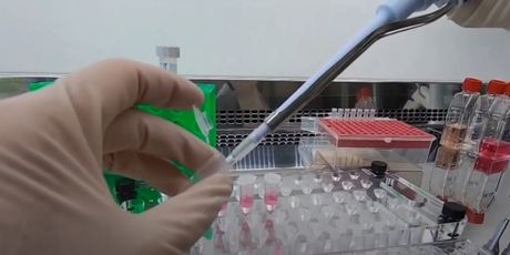 Rusija odobrila cjepivo protiv koronavirusa - 5