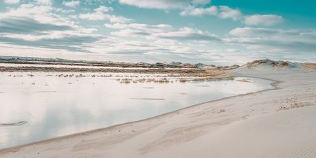 Skagen