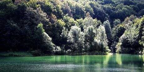 Petnja