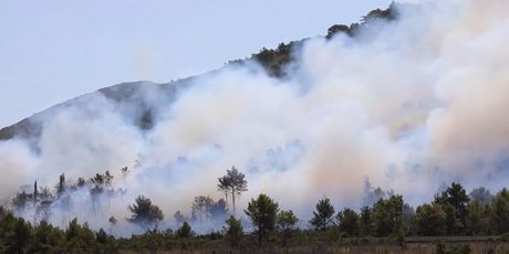 Požari poharali Dalmaciju - 4