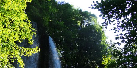 Zlatni Papuk - 4