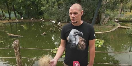 Jadranko Boras, veterinar zagrebačkog ZOO-a