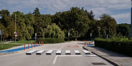 3D zebra u Ptuju - 1
