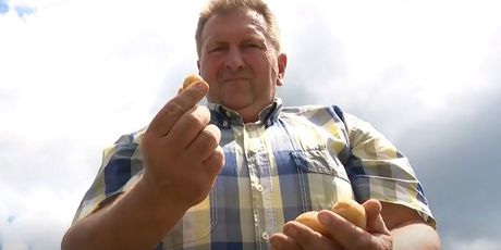 Lički krumpir ove je godine sitniji zbog suše