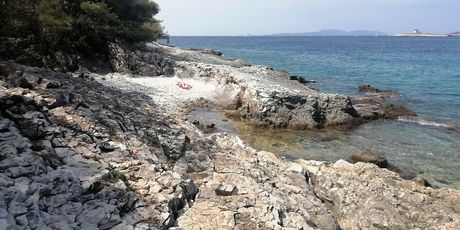 Mekićevica - 2