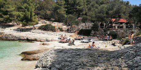 Mekićevica - 3
