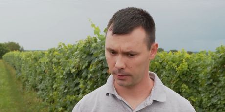 Ivan Gerštmajer, predsjednik Udruge vinogradara Baranje