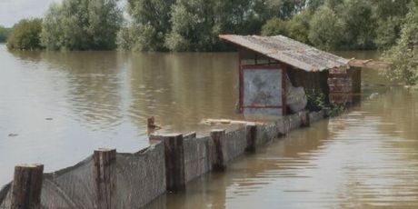 Poplave u Slavoniji - 4