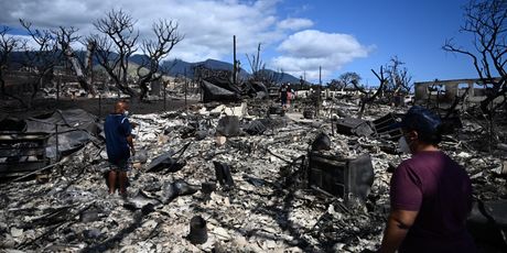 Posljedice požara na Havajima - 2