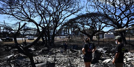 Posljedice požara na Havajima - 5