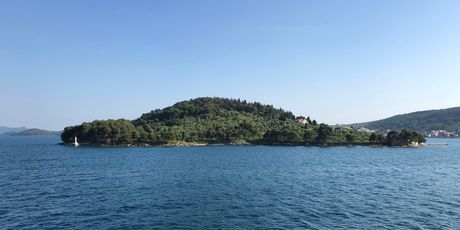 Ošljak - 2