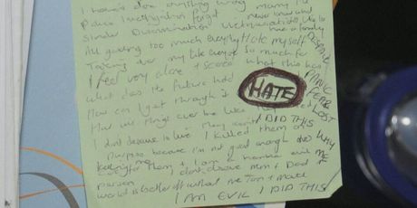 Medicinska sestra ubijala bebe, ilustracija - 4