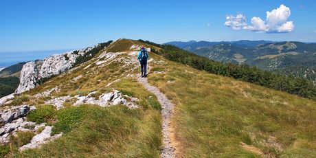Velebit