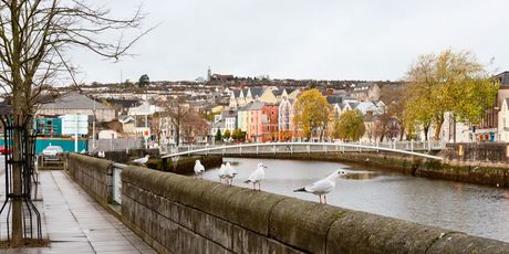Cork - 16