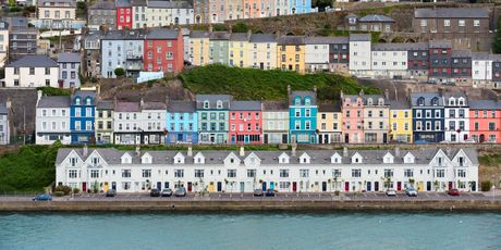 Cork - 17