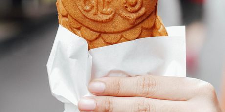 Taiyaki/Ilustracija - 1