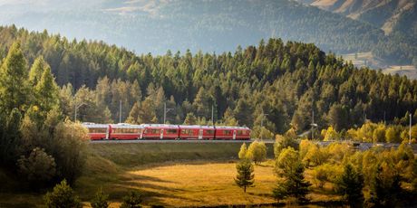 Bernina Express - 16