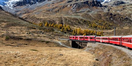 Bernina Express - 17