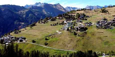 Chamois - 4