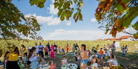 Štrudlafest - 8