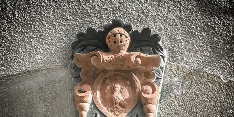 Vodnjanski grbovi - 12