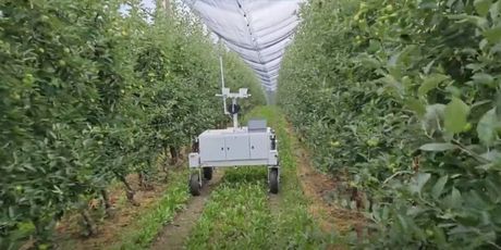 Nova tehnologija u voćnjacima - 5