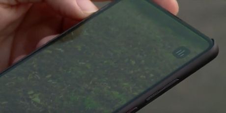 Nova tehnologija u voćnjacima - 7