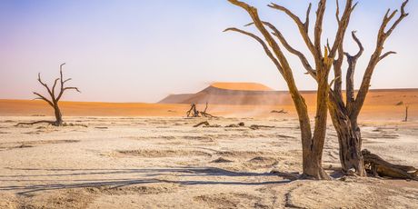 Namib