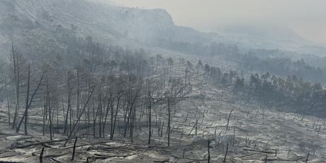 Opožareno područje Parka prirode Biokovo - 1