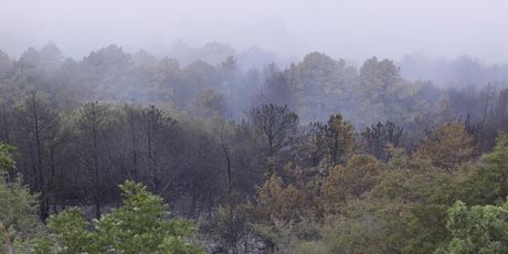 Opožareno područje Parka prirode Biokovo - 4