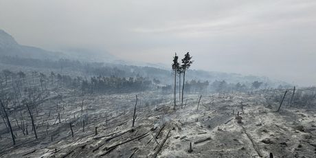 Opožareno područje Parka prirode Biokovo - 5