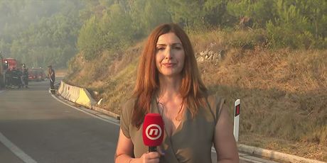 Sofija Preljvukić, reporterka Dnevnika Nove TV