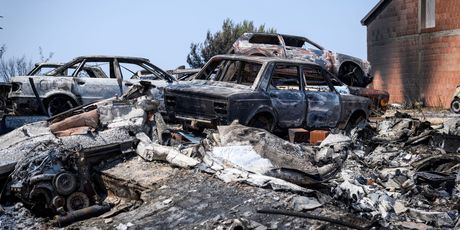 Posljedice požara u okolici Skradina - 3