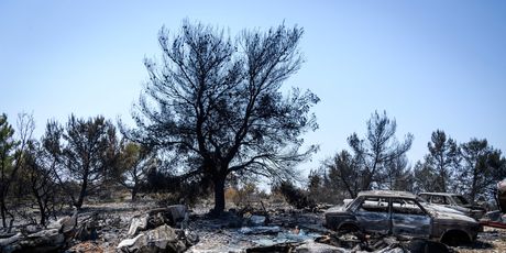 Posljedice požara u okolici Skradina - 4