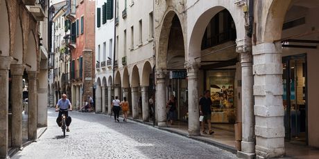 Treviso