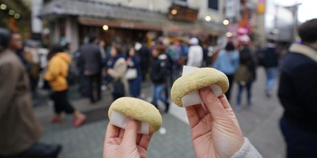 Mochi - 1