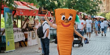 ZeGeVege festival održivog življenja - 3