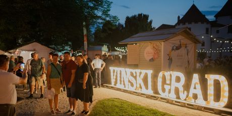Vinski grad - 1