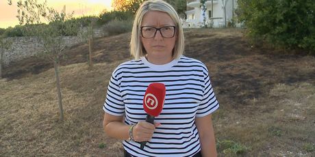 Lina Dollar, reporterka Nove TV