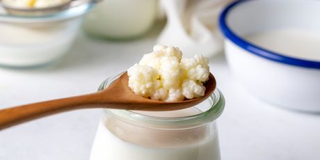 Kefir - 1