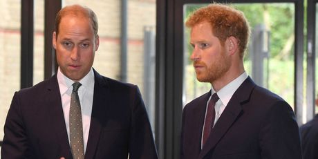 Princ William i princ Harry