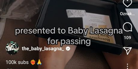 Baby Lasagna