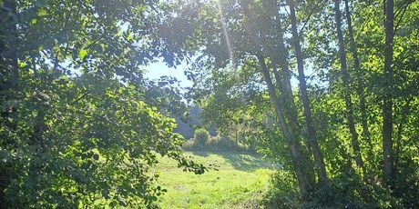 Turopoljska trail utrka Ključić brdo - 5