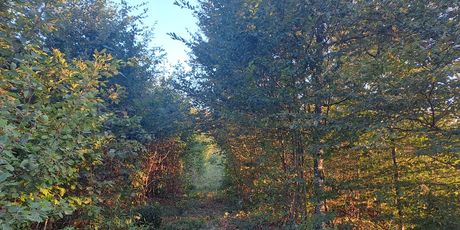 Turopoljska trail utrka Ključić brdo - 6