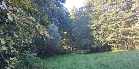 Turopoljska trail utrka Ključić brdo - 7