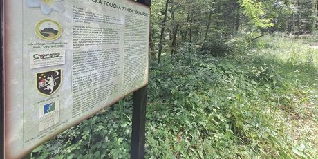 Turopoljska trail utrka Ključić brdo - 8