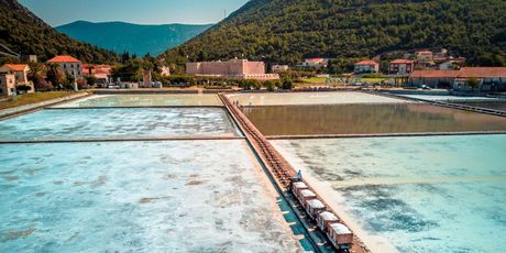 Festival soli na Pelješcu - 2