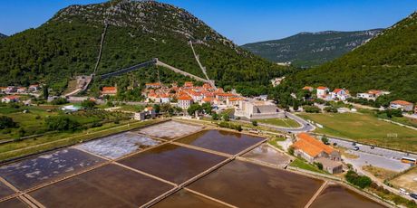 Festival soli na Pelješcu - 4